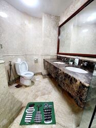 Parc Oasis (D22), Condominium #581379451